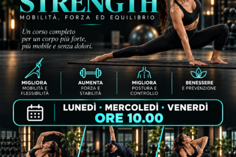 MOBILITY & STRETCH