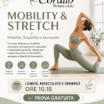 MOBILITY & STRETCH
